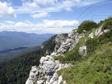 Juniperus-sabina_Черногор_стация_2